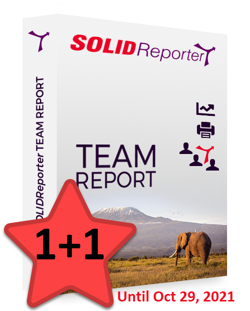 Happy Days 1+1 for SOLIDReporter TEAM REPORT 2021